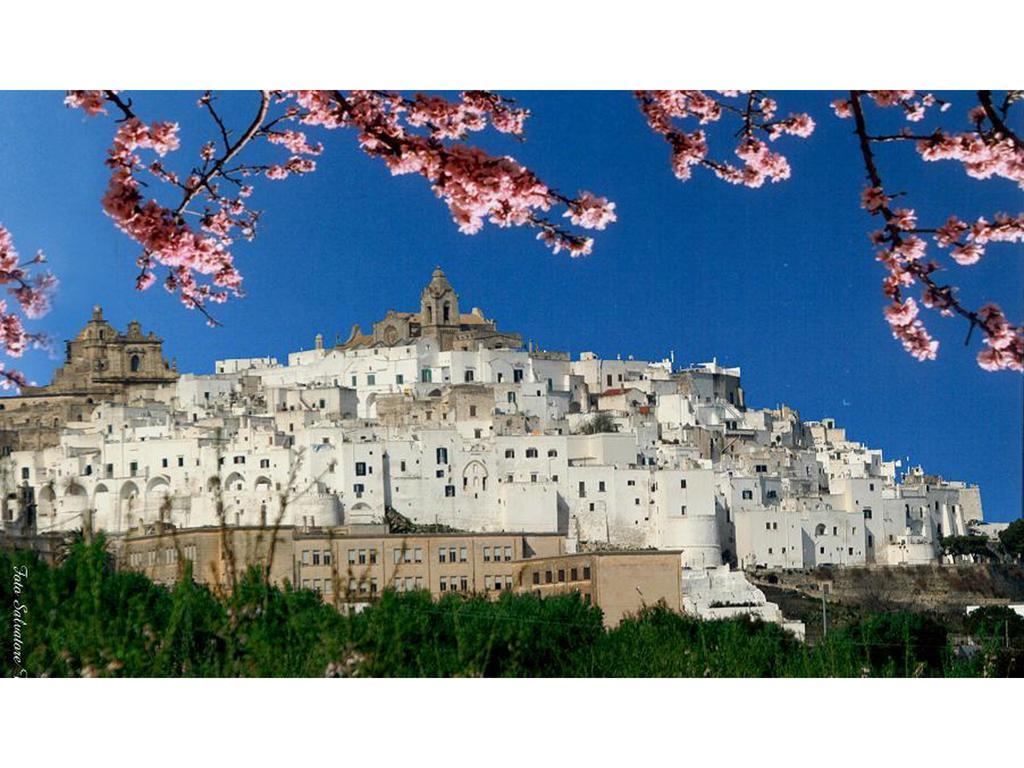 Casa Farella B&B In Suites Apartments Altamura X Matera 외부 사진